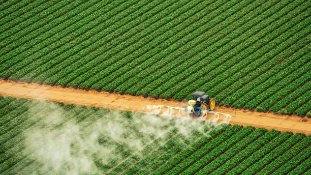Best Pest Removal Services  in Ellisburg, NJ