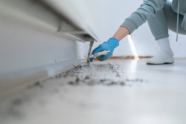 Best Wildlife Control Services  in Ellisburg, NJ