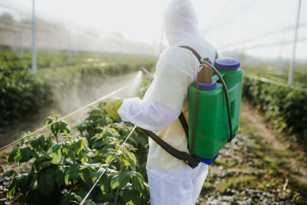 Pest Prevention Services in Ellisburg, NJ